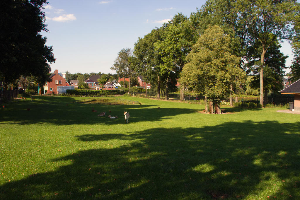 Hulsebos 호텔 Zuidbroek 외부 사진